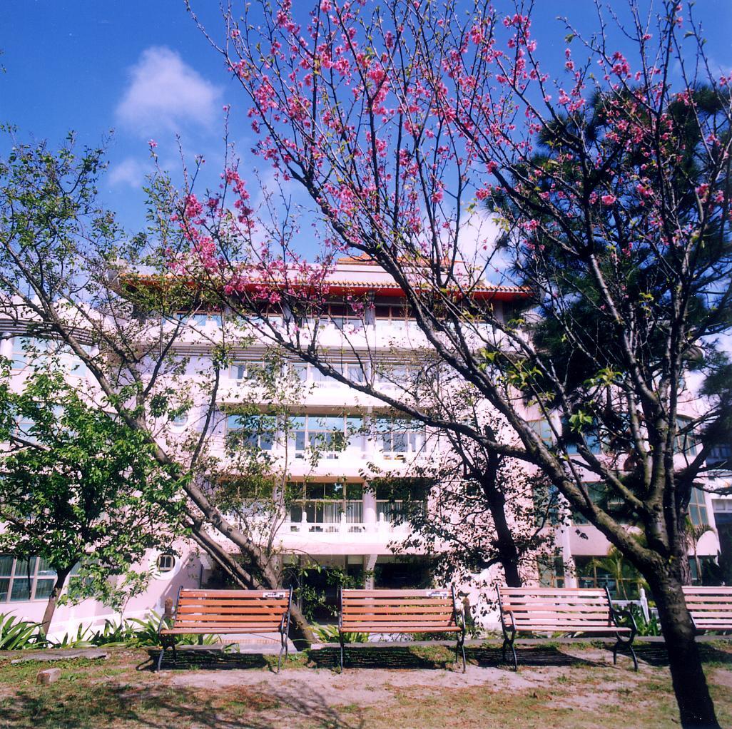 photo1