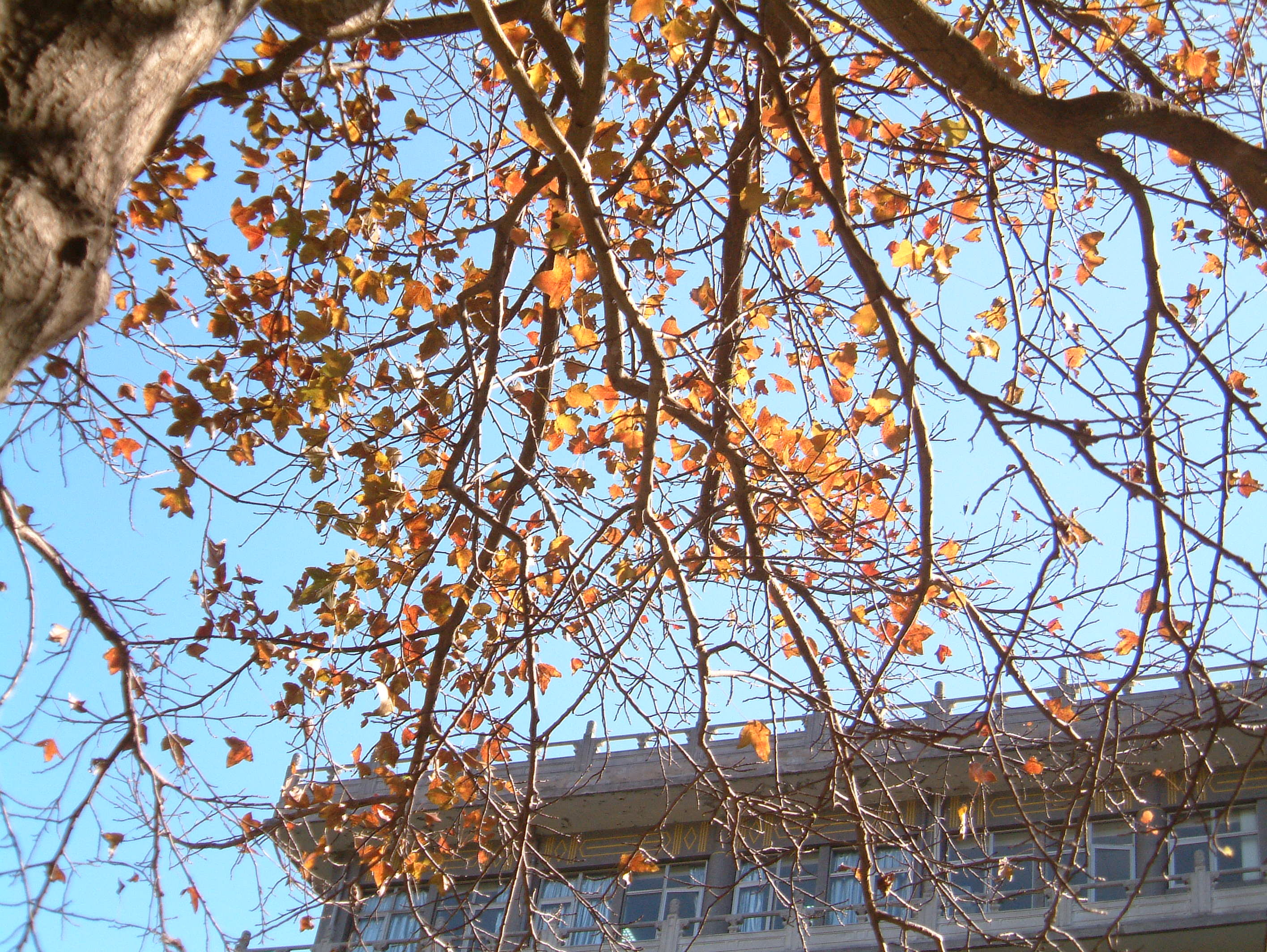 photo2