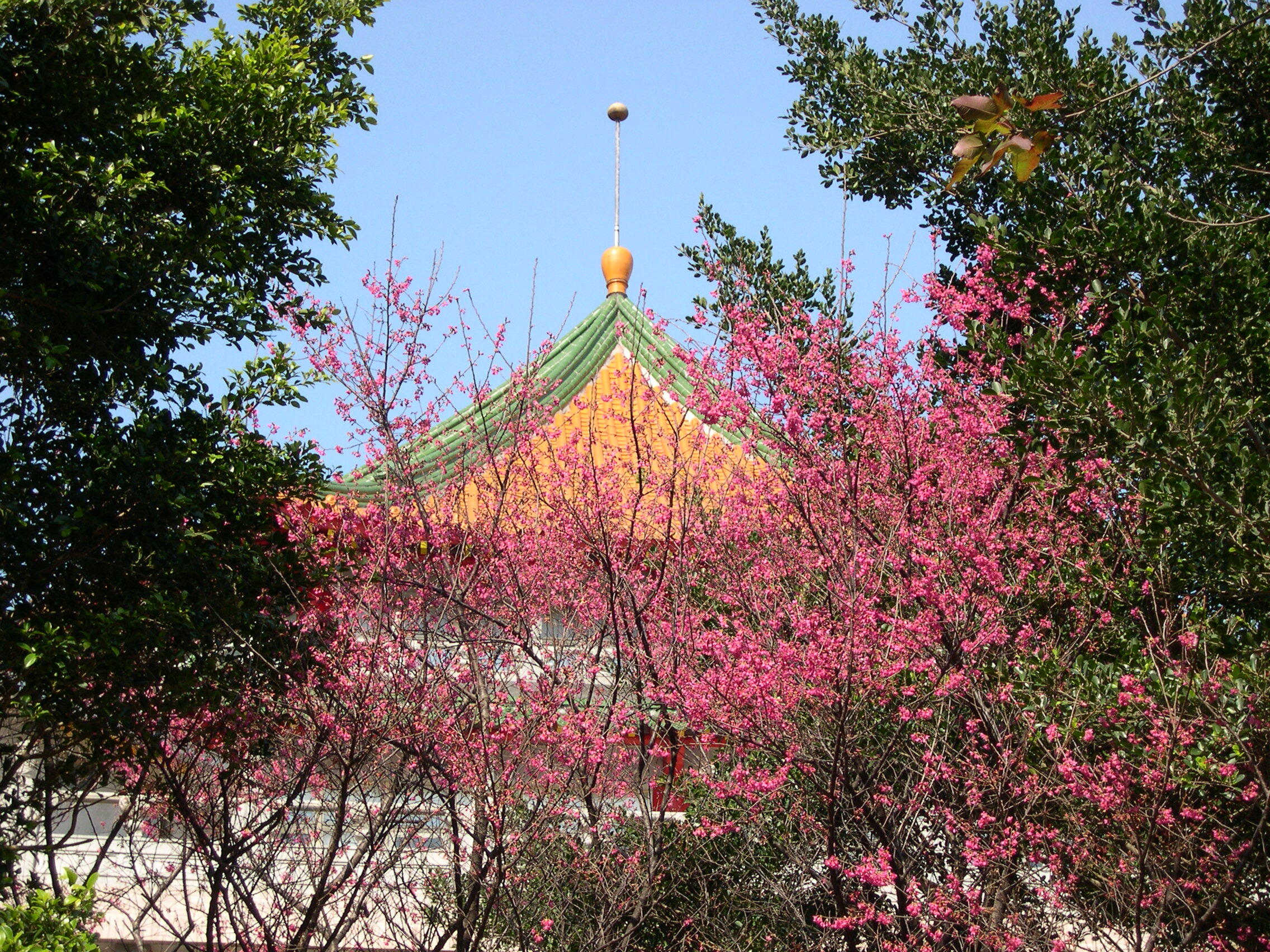 photo5