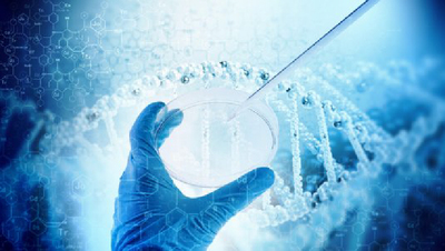 園藝暨生物技術學系介紹圖片