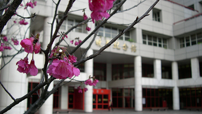 「從小到大的跳舞生涯，只想 成為無可取代的藝術推廣者」＿舞蹈學系／魏靖庭圖片